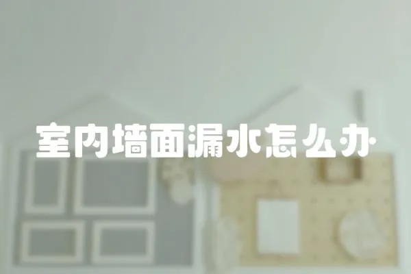 室內墻面漏水怎么辦