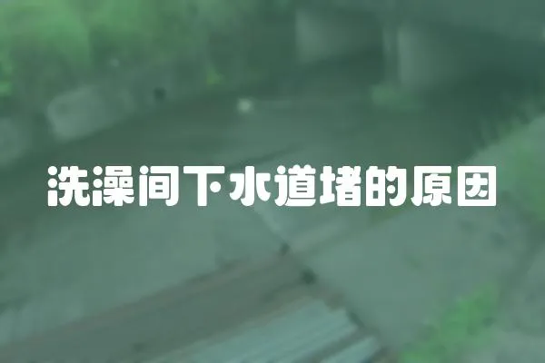 洗澡間下水道堵的原因