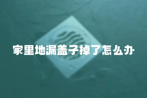 家里地漏蓋子掉了怎么辦