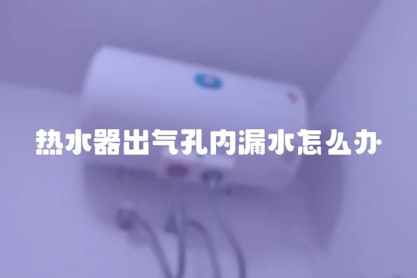 熱水器出氣孔內漏水怎么辦