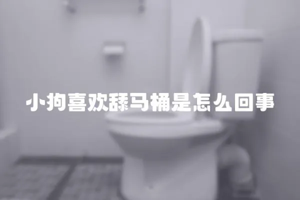 小狗喜歡舔馬桶是怎么回事