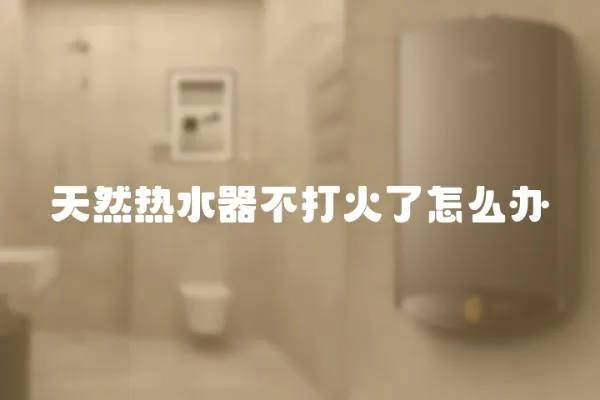 天然熱水器不打火了怎么辦