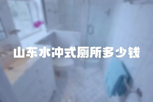 山東水沖式廁所多少錢
