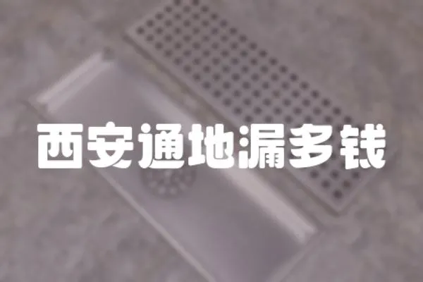 西安通地漏多錢