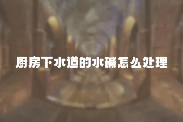 廚房下水道的水堿怎么處理