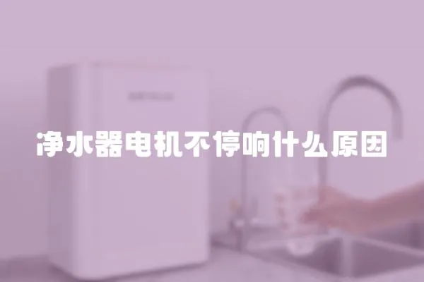 凈水器電機不停響什么原因