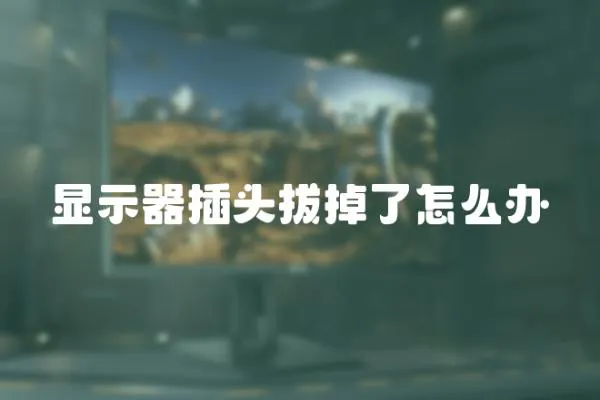 顯示器插頭拔掉了怎么辦