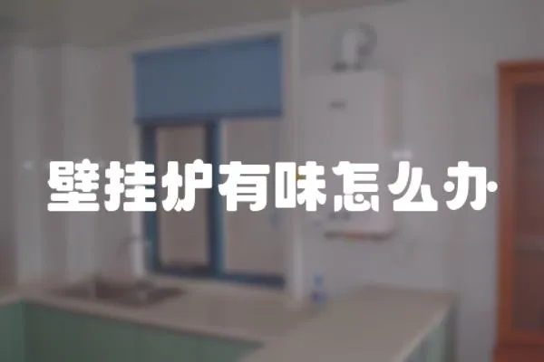 壁掛爐有味怎么辦