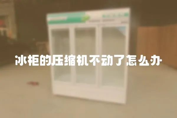 冰柜的壓縮機(jī)不動(dòng)了怎么辦