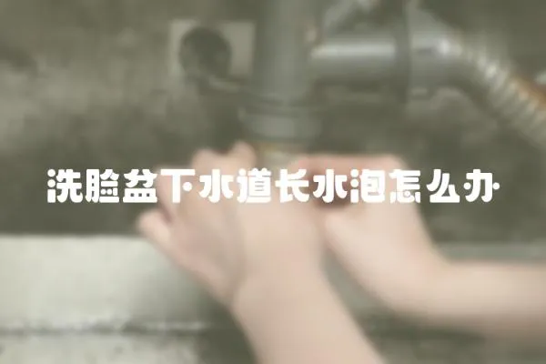 洗臉盆下水道長水泡怎么辦