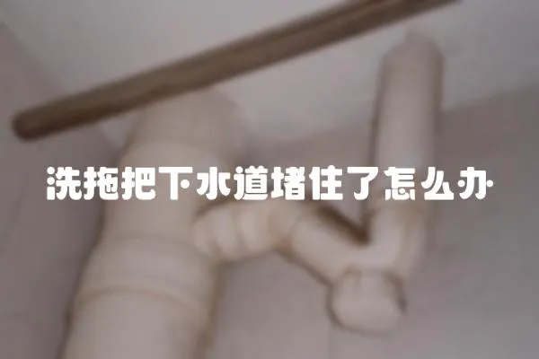 洗拖把下水道堵住了怎么辦