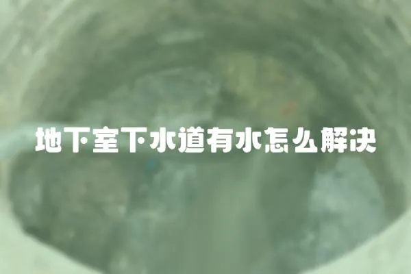 地下室下水道有水怎么解決