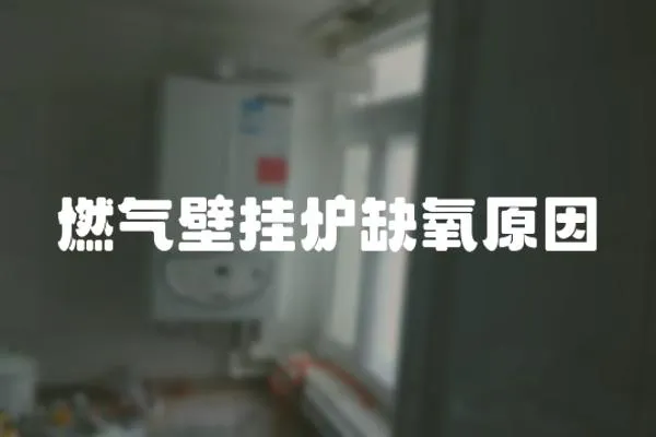 燃?xì)獗趻鞝t缺氧原因