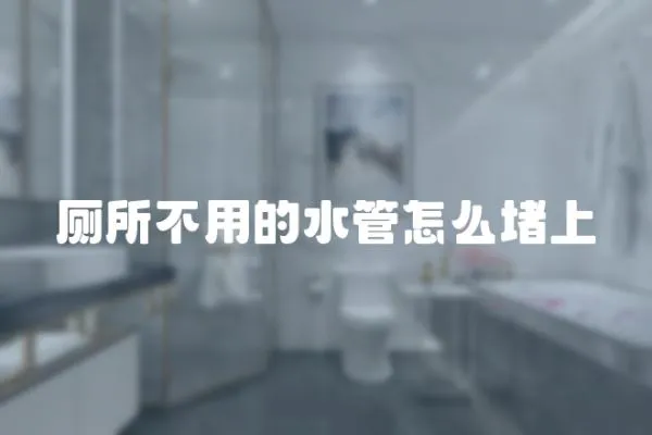 廁所不用的水管怎么堵上