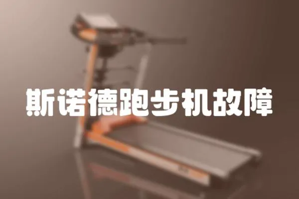 斯諾德跑步機故障