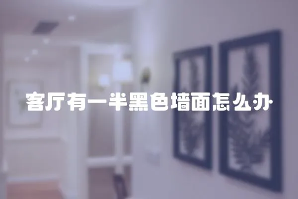 客廳有一半黑色墻面怎么辦