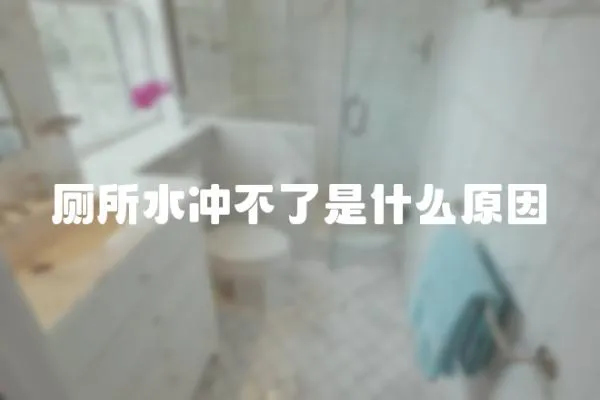 廁所水沖不了是什么原因
