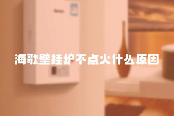 海歌壁掛爐不點(diǎn)火什么原因