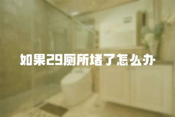 如果29廁所堵了怎么辦