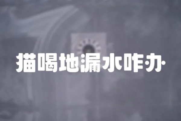 貓喝地漏水咋辦