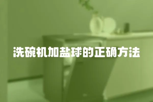 洗碗機加鹽球的正確方法