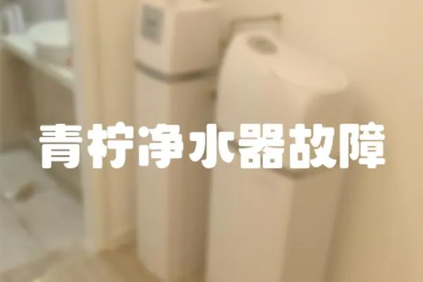 青檸凈水器故障