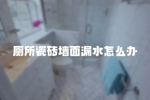 廁所瓷磚墻面漏水怎么辦