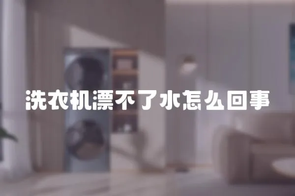 洗衣機(jī)漂不了水怎么回事
