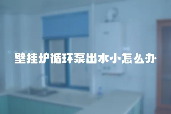 壁掛爐循環泵出水小怎么辦