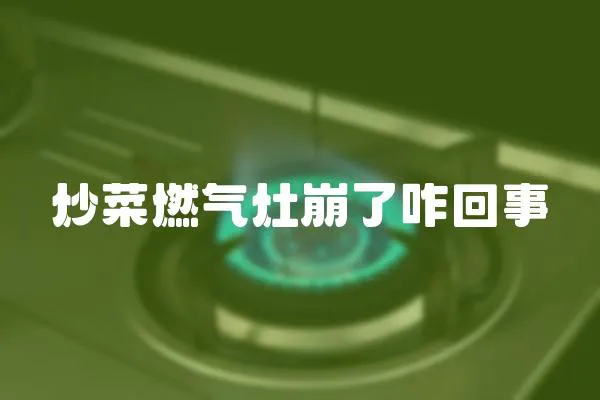 炒菜燃?xì)庠畋懒苏厥?></a></div>
                    </div>
                    <div   id=