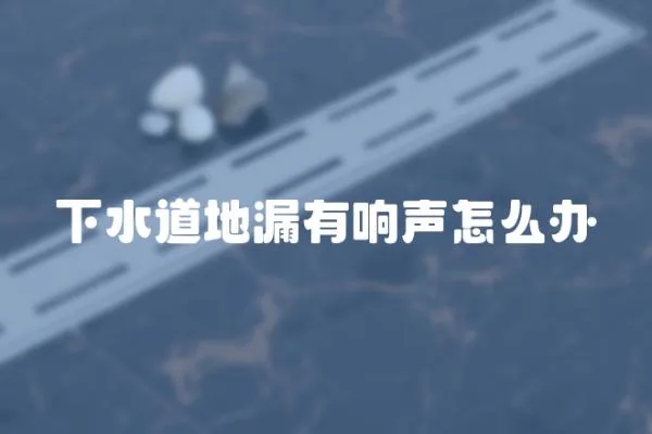 下水道地漏有響聲怎么辦