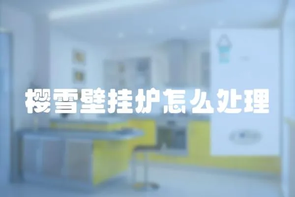 櫻雪壁掛爐怎么處理