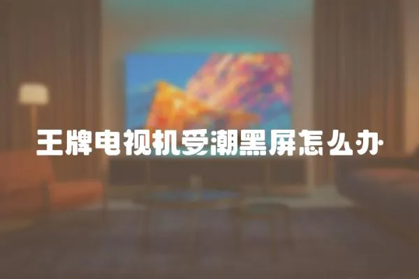 王牌電視機受潮黑屏怎么辦