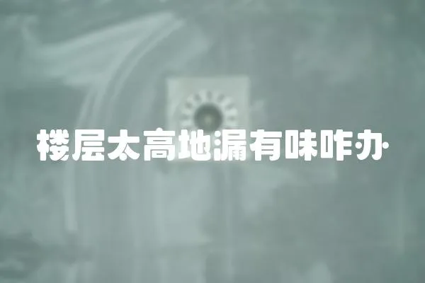 樓層太高地漏有味咋辦