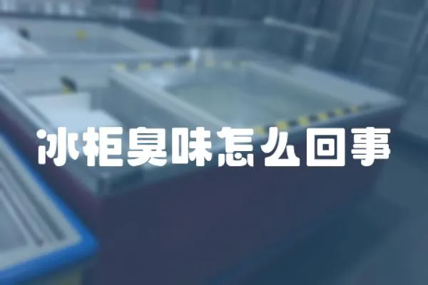 冰柜臭味怎么回事
