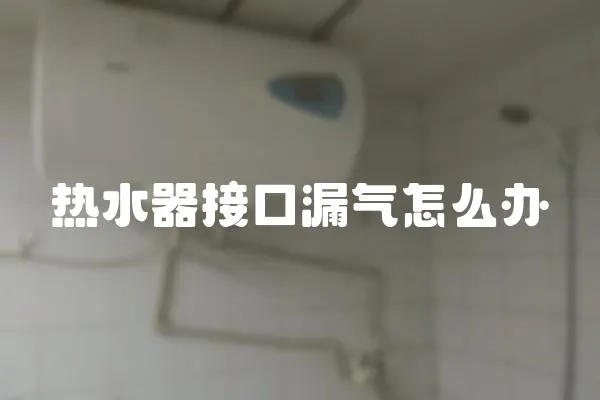 熱水器接口漏氣怎么辦