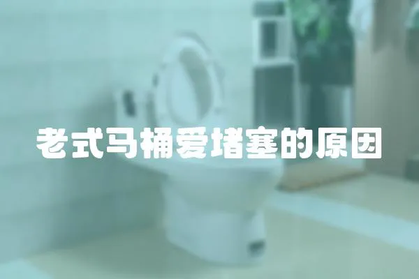 老式馬桶愛堵塞的原因