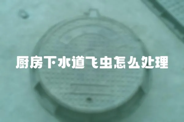 廚房下水道飛蟲怎么處理