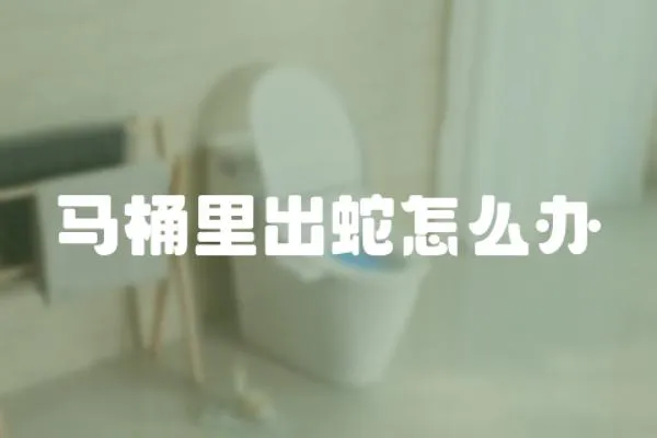 馬桶里出蛇怎么辦
