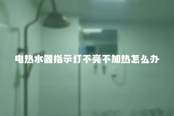 電熱水器指示燈不亮不加熱怎么辦