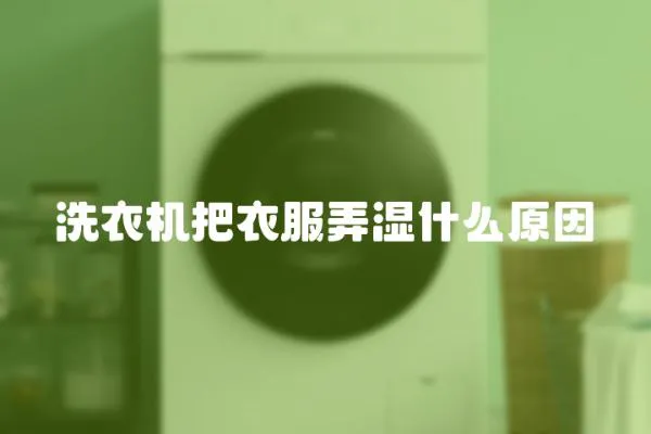 洗衣機把衣服弄濕什么原因