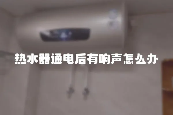 熱水器通電后有響聲怎么辦