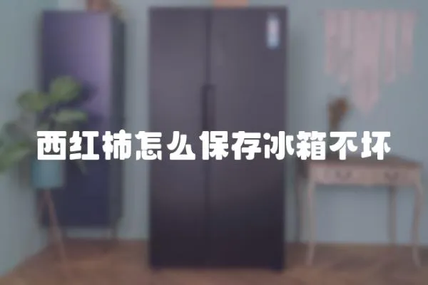 西紅柿怎么保存冰箱不壞