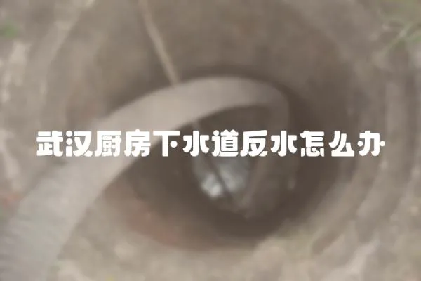 武漢廚房下水道反水怎么辦