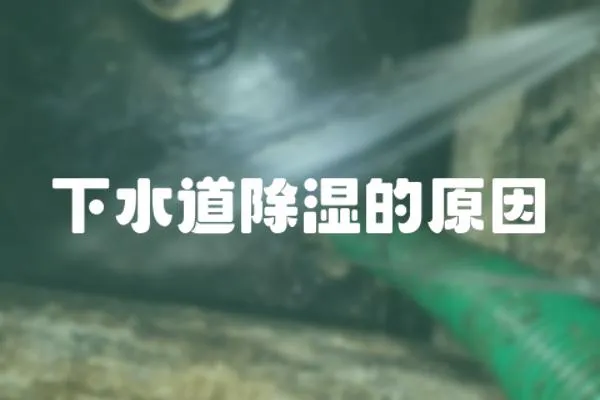 下水道除濕的原因