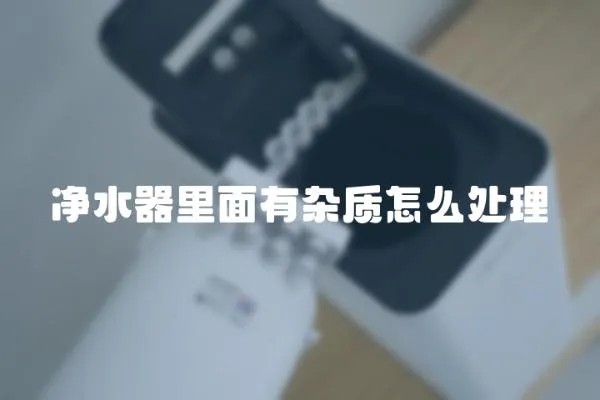 凈水器里面有雜質怎么處理