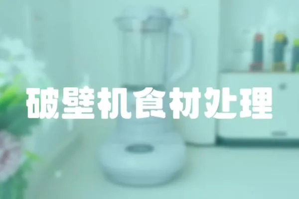 破壁機食材處理