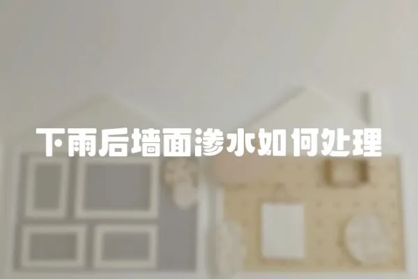 下雨后墻面滲水如何處理