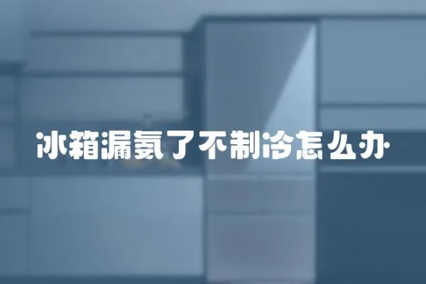 冰箱漏氨了不制冷怎么辦