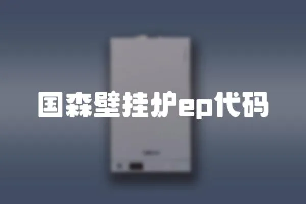 國(guó)森壁掛爐ep代碼